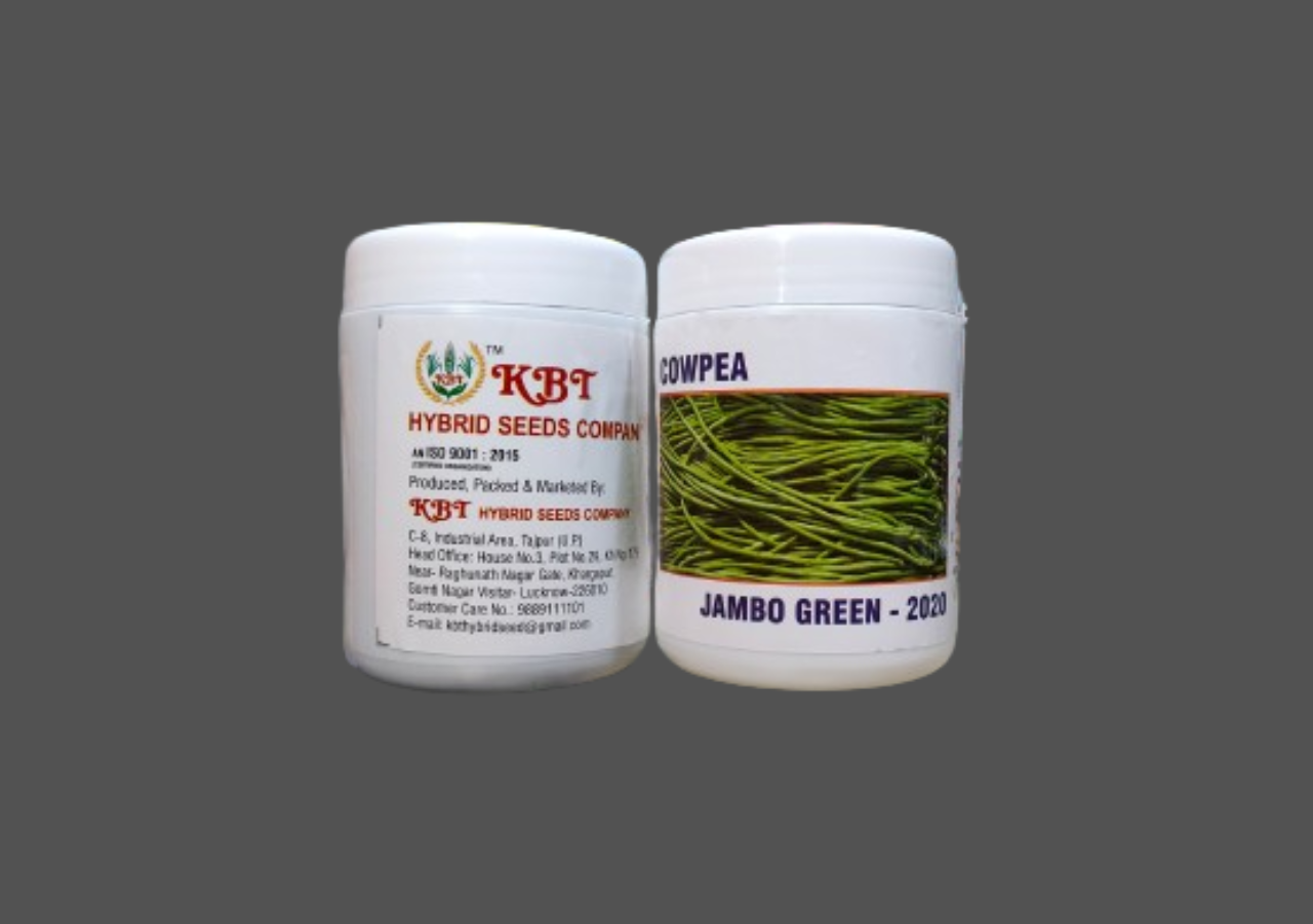 COWPEA (Boro) JAMBOGREEN-2020 250g